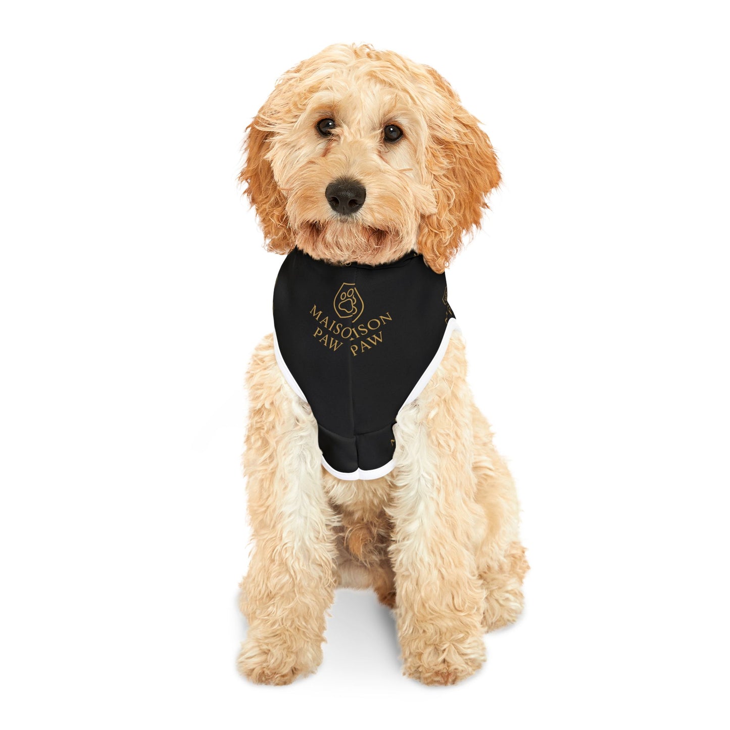 Maison Paw Black Logo Pet Hoodie — Luxury Dog & Cat Hoodie